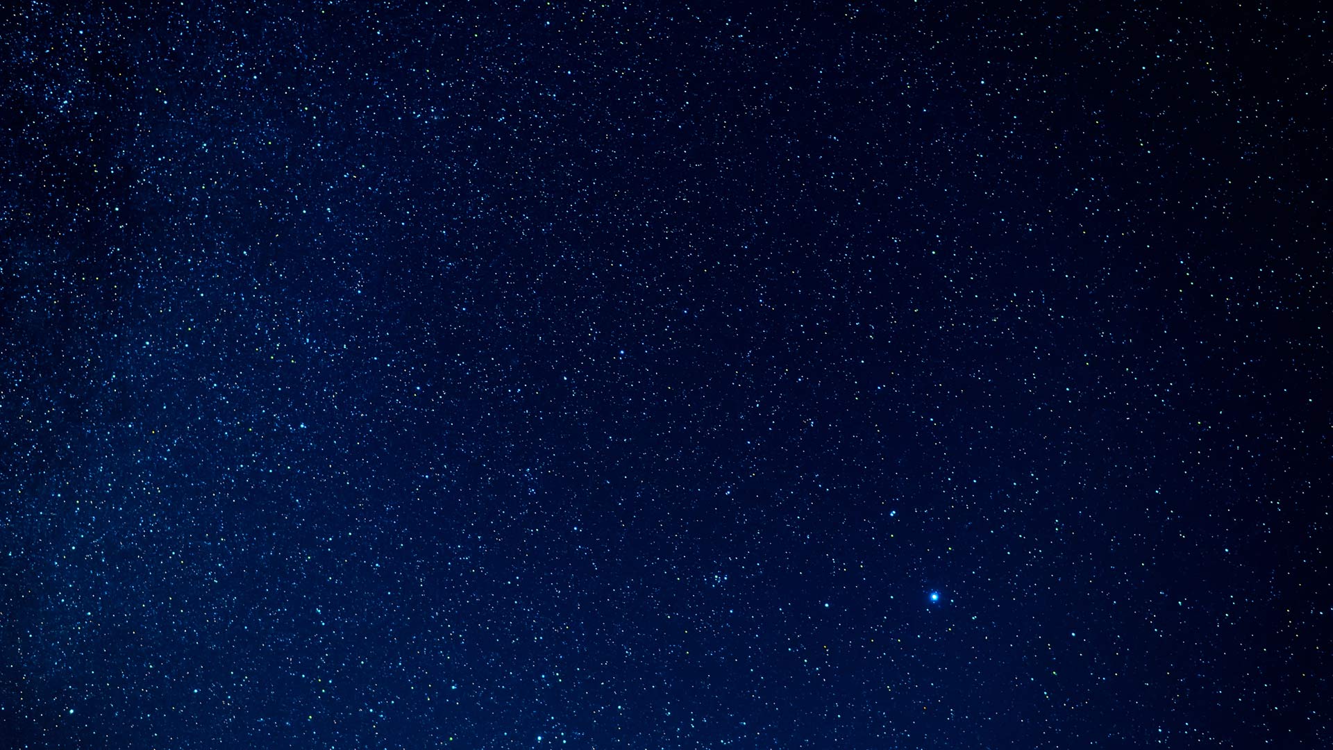 Dinner under the Stars